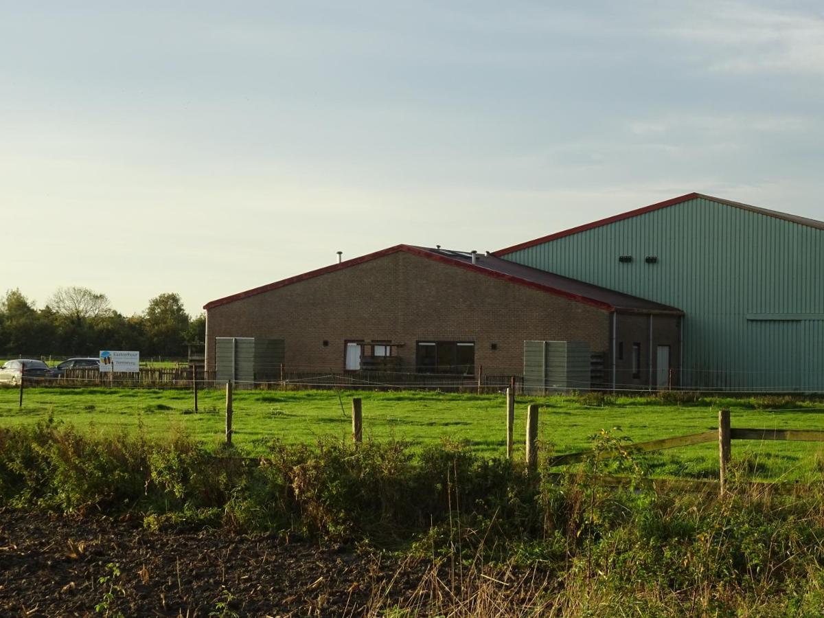 Kustverhuur, Oude Manege Nieuwvliet, Nieuwvliet 3 - 9 Екстериор снимка
